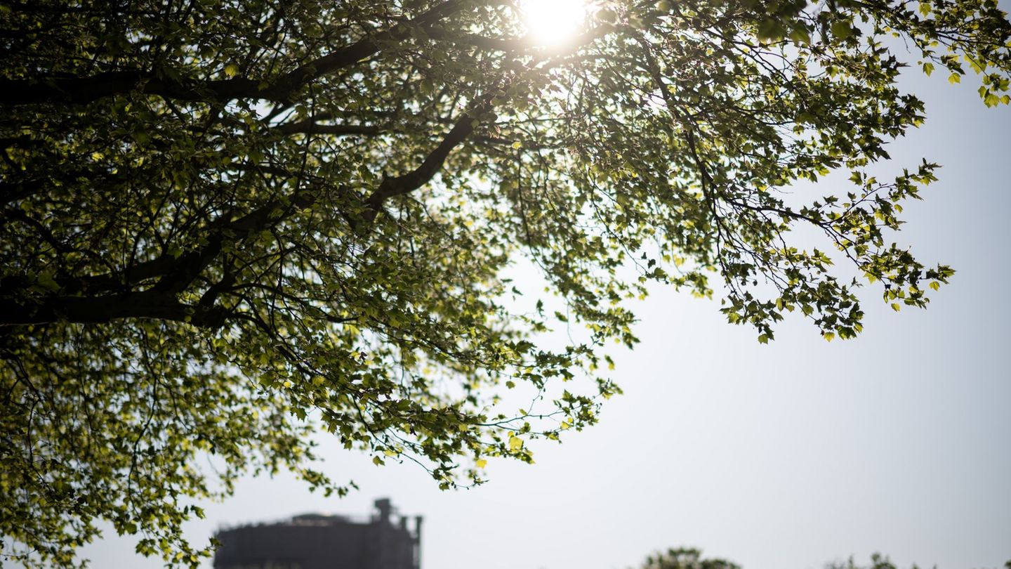 Nordrhein-Westfalen: April zeigte sich sonnig - und viel zu trocken