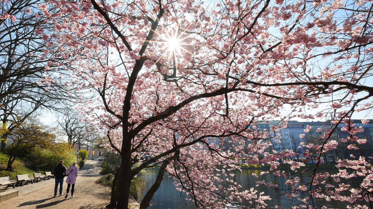 Der April lockte die Hamburger nach draußen. (Archivbild) Foto: Christian Charisius/dpa