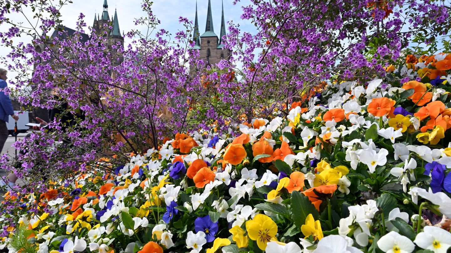 Monatsbilanz: April zu trocken und milder als in früheren Jahren