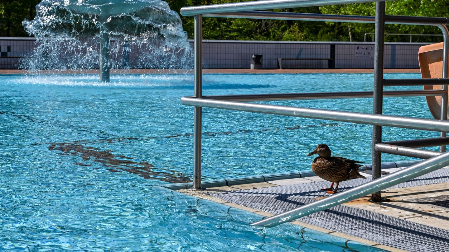 Ab 1. Mai: Das ist zum Start der Freibadsaison für Schwimmfans wichtig
