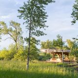 Der Pavillon steht an einer wilden Wiese zwischen Birken