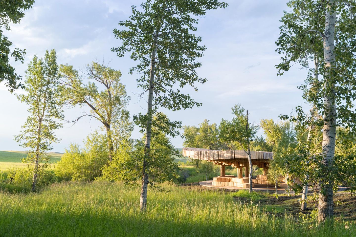 Der Pavillon steht an einer wilden Wiese zwischen Birken