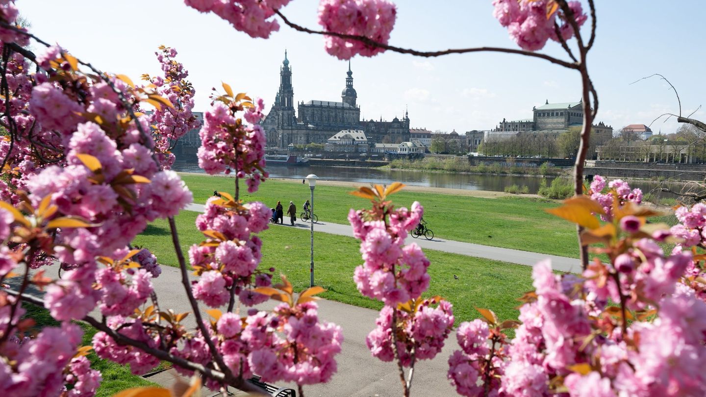 Der Wetterdienst hat Bilanz für April gezogen. (Archivbild) Foto: Sebastian Kahnert/dpa