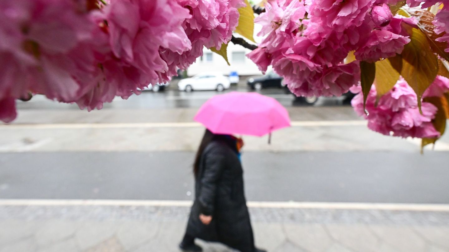 Im April verzeichneten Berlin und Brandenburg überdurchschnittlich viel Niederschlag - aber auch die Sonne schien viele Stunden.