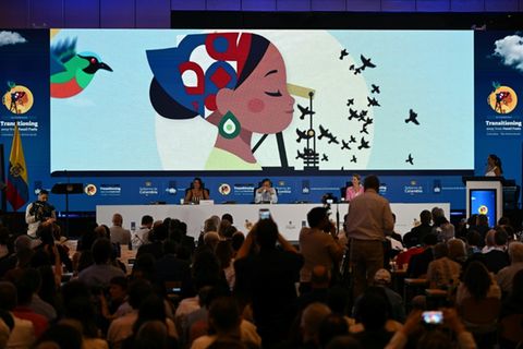 Konferenzplenum in Santa Marta