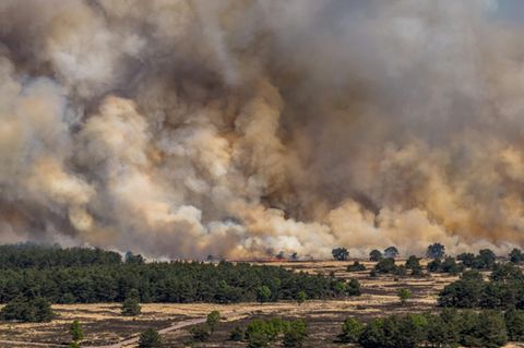 Waldbrand auf dem Übungsplatz 't Harde in den Niederlanden