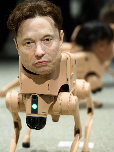 Roboterhunde halten Tech-Miliardären den Spiegel vor