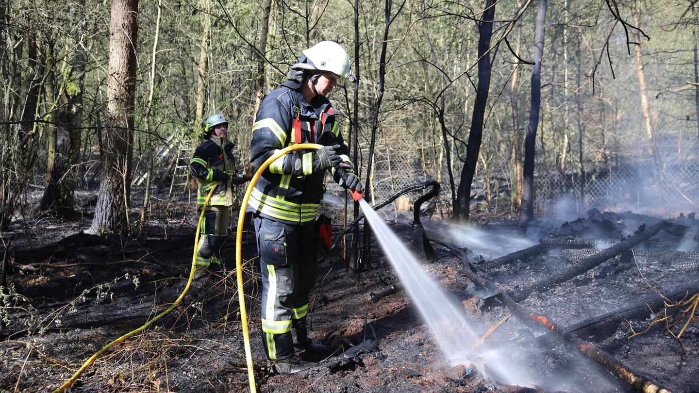 Im Wildpark hat es gebrannt. Foto: -/Kreisfeuerwehrverband Segeberg/dpa