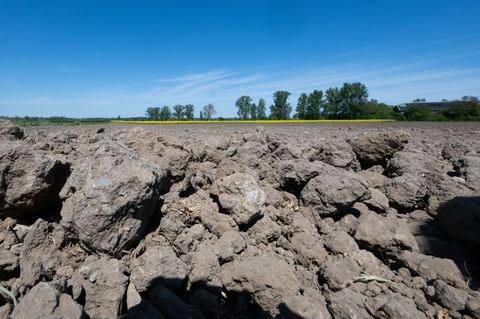 Komplett trocken ist diese Acker im südhessischen Ried. Foto: Boris Roessler/dpa