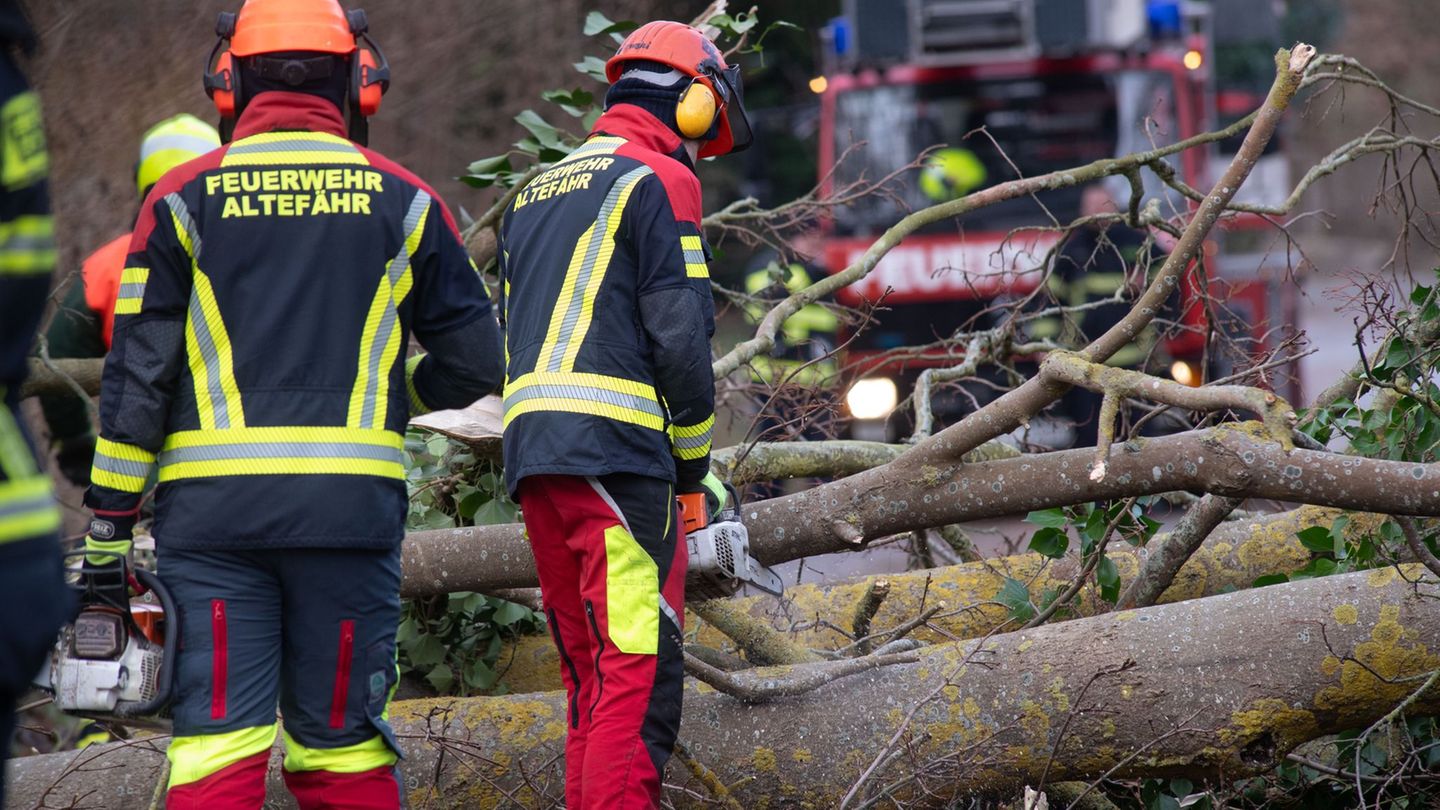 Nach Orkanböen räumen Feuerwehrleute die Straßen in der Ortschaft Altefähr. (Archivfoto) Foto: Stefan Sauer/dpa