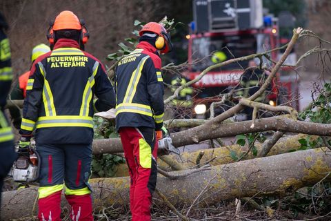 Nach Orkanböen räumen Feuerwehrleute die Straßen in der Ortschaft Altefähr. (Archivfoto) Foto: Stefan Sauer/dpa