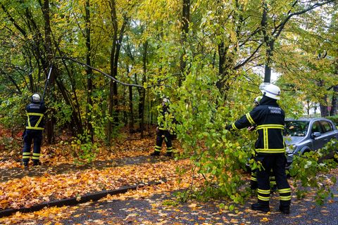 Feuerwehrleute sägen nach Starkregen und Sturm im Hamburger Stadtteil Lohbrügge einen abgeknickten Ast von einem Baum ab. (Archi