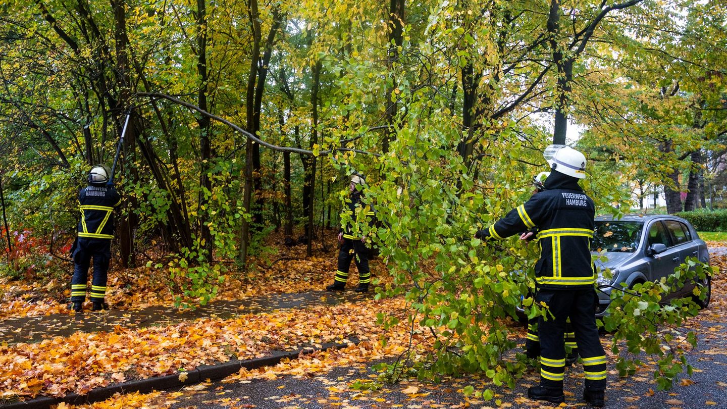 Feuerwehrleute sägen nach Starkregen und Sturm im Hamburger Stadtteil Lohbrügge einen abgeknickten Ast von einem Baum ab. (Archi