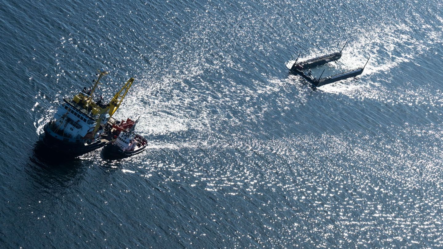 Wal-Transport geht weiter: Transportschiff mit geborgenem Wal jetzt vor Dänemark