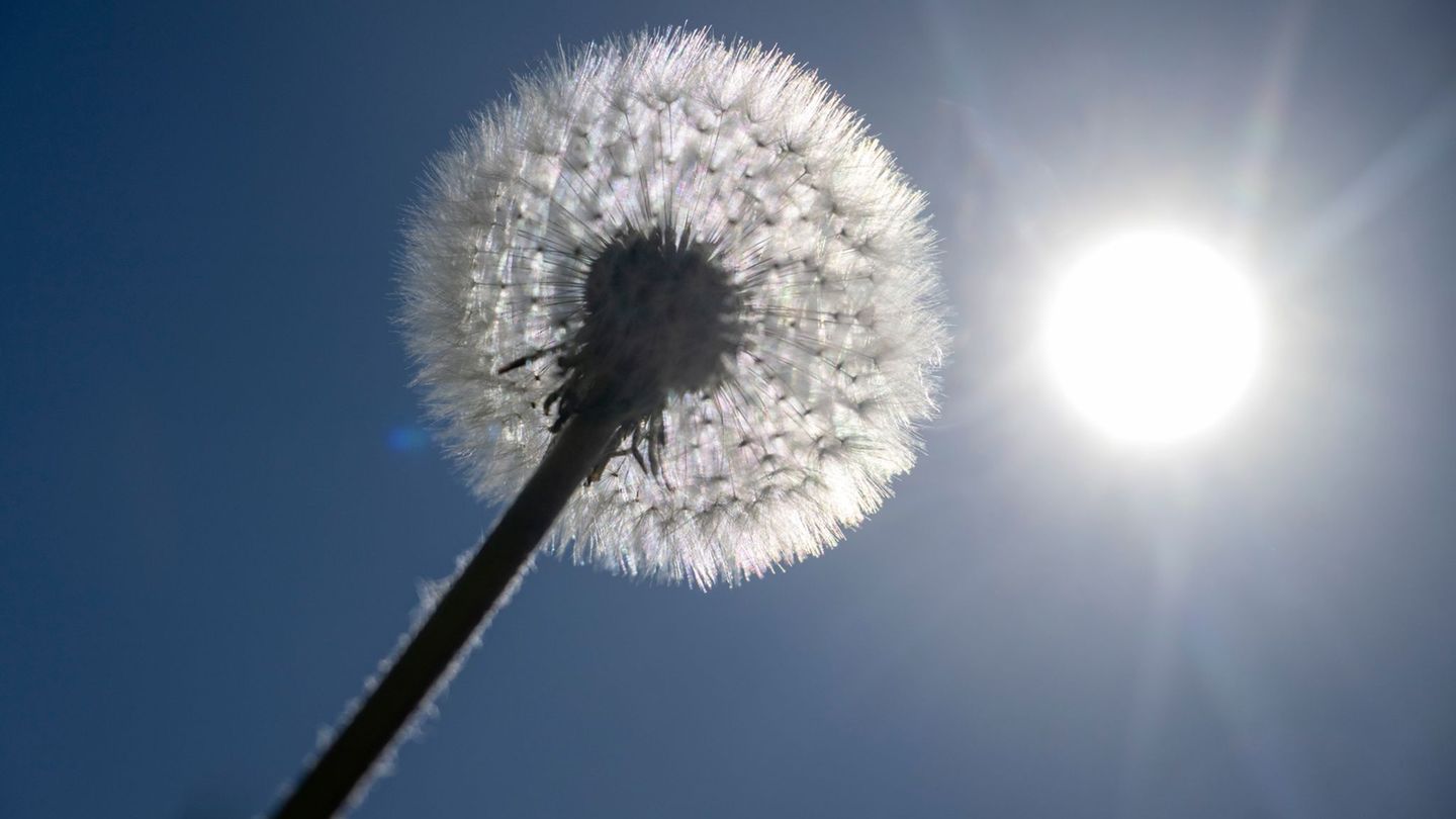 Wetter: Bis zu 25 Grad am Maifeiertag – Sonne pur im Freistaat