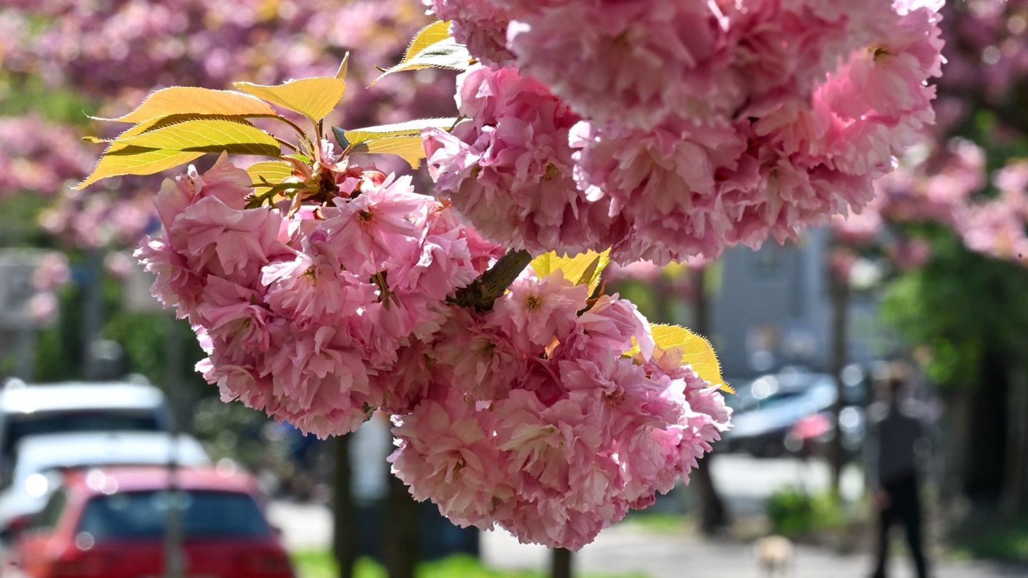 Wettervorhersage: Sonne und bis zu 28 Grad – so startet der Mai