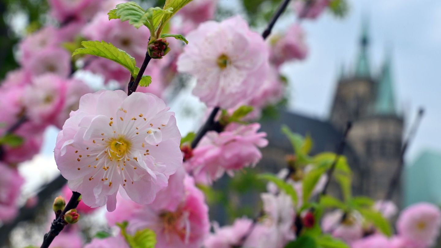 Zum Start in den Mai erwartet die Menschen in Thüringen sommerliches Wetter. (Archivbild) Foto: Martin Schutt/dpa