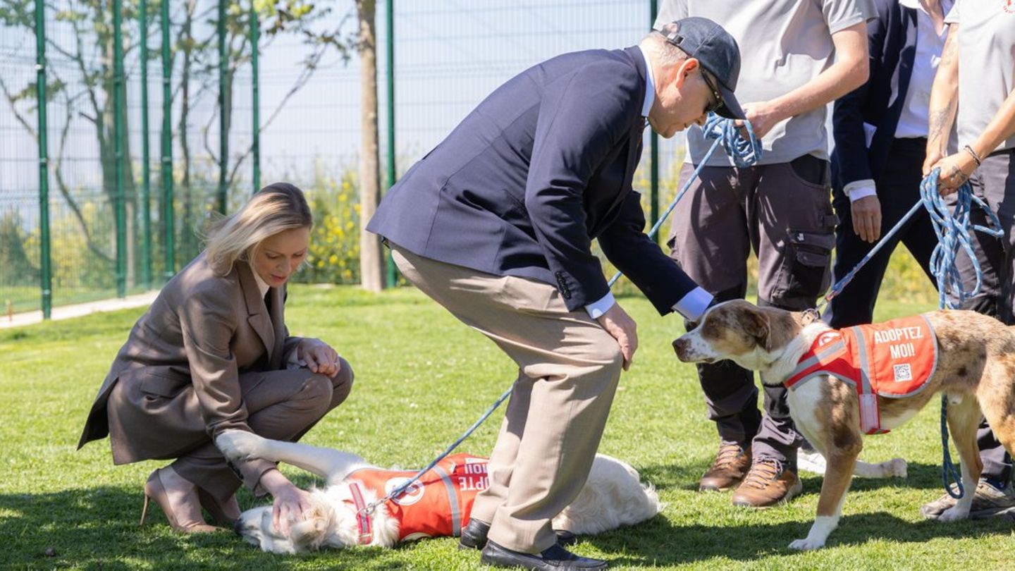 Fürstin Charlène und Fürst Albert ließen sich bei der Eröffnung des Tierheims zum Hundekraulen hinreißen.