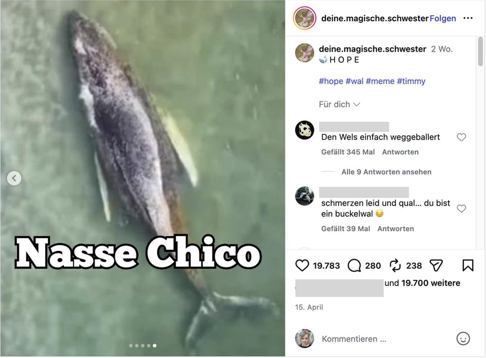 Internet-Humor: Die besten Memes zur Rettung von Buckelwal Timmy