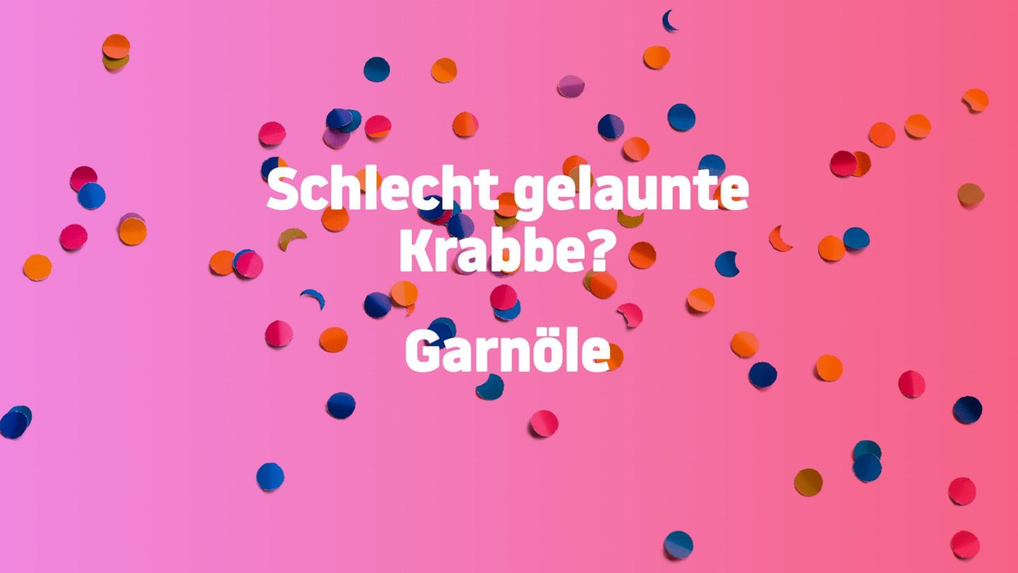 Bitte (nicht) lachen: Können Sie bei diesen 28 Flachwitzen ernst bleiben?