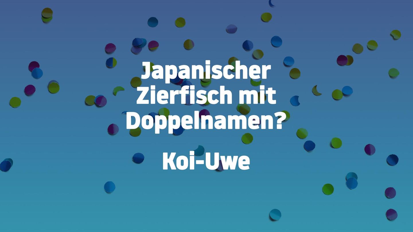 Bitte (nicht) lachen: Können Sie bei diesen 28 Flachwitzen ernst bleiben?