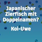 Bitte (nicht) lachen: Können Sie bei diesen 28 Flachwitzen ernst bleiben?