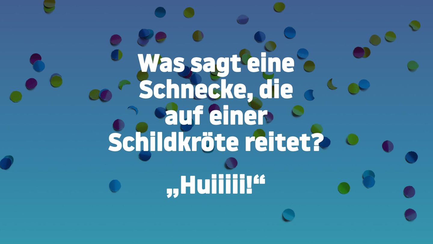 Bitte (nicht) lachen: Können Sie bei diesen 28 Flachwitzen ernst bleiben?