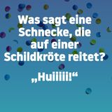 Bitte (nicht) lachen: Können Sie bei diesen 28 Flachwitzen ernst bleiben?