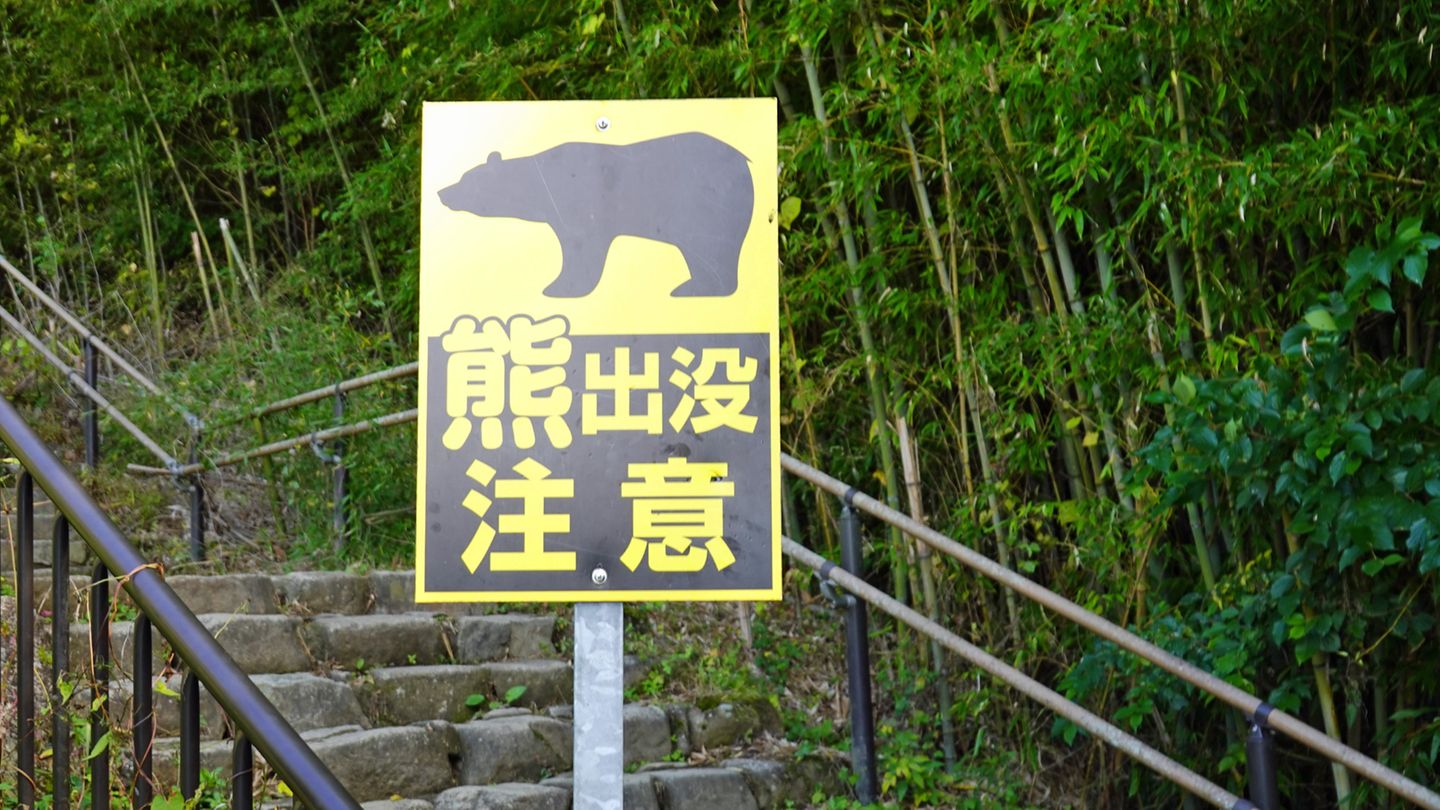 Vor Ort: Hier entlang: Für Japans schönsten Wanderweg braucht man nur einen Tag