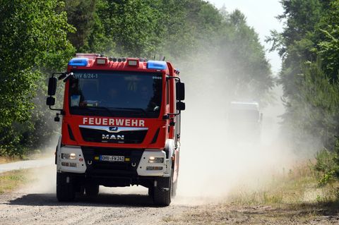 Angesichts steigender Temperaturen warnt das Umweltministerium in Schwerin vor Waldbrandgefahr. (Symbolbild) Foto: Soeren Stache
