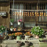 Museumdorf in Magome