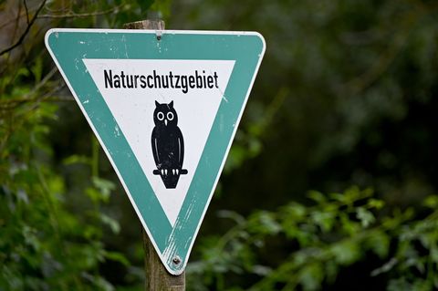 Der ehemalige Tagebausee "Zipsendorf Süd" bei Zeitz wird vorerst unter Naturschutz gestellt. (Symbolbild) Foto: Monika Skolimows