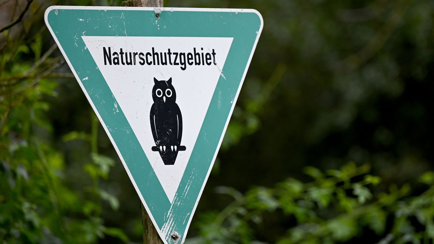 Der ehemalige Tagebausee "Zipsendorf Süd" bei Zeitz wird vorerst unter Naturschutz gestellt. (Symbolbild) Foto: Monika Skolimows