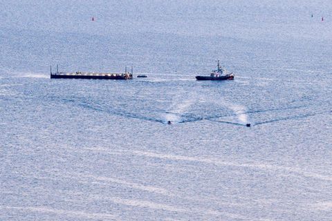 Transport mit ungewissem Ausgang: Wal wird Richtung Nordsee gebracht Foto: Bodo Marks/dpa