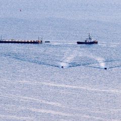 Transport mit ungewissem Ausgang: Wal wird Richtung Nordsee gebracht Foto: Bodo Marks/dpa