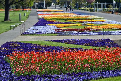 Der Erfurter egapark ist ein blühendes Denkmal. Er besteht seit 65 Jahren. Foto: Martin Schutt/dpa