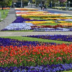 Der Erfurter egapark ist ein blühendes Denkmal. Er besteht seit 65 Jahren. Foto: Martin Schutt/dpa