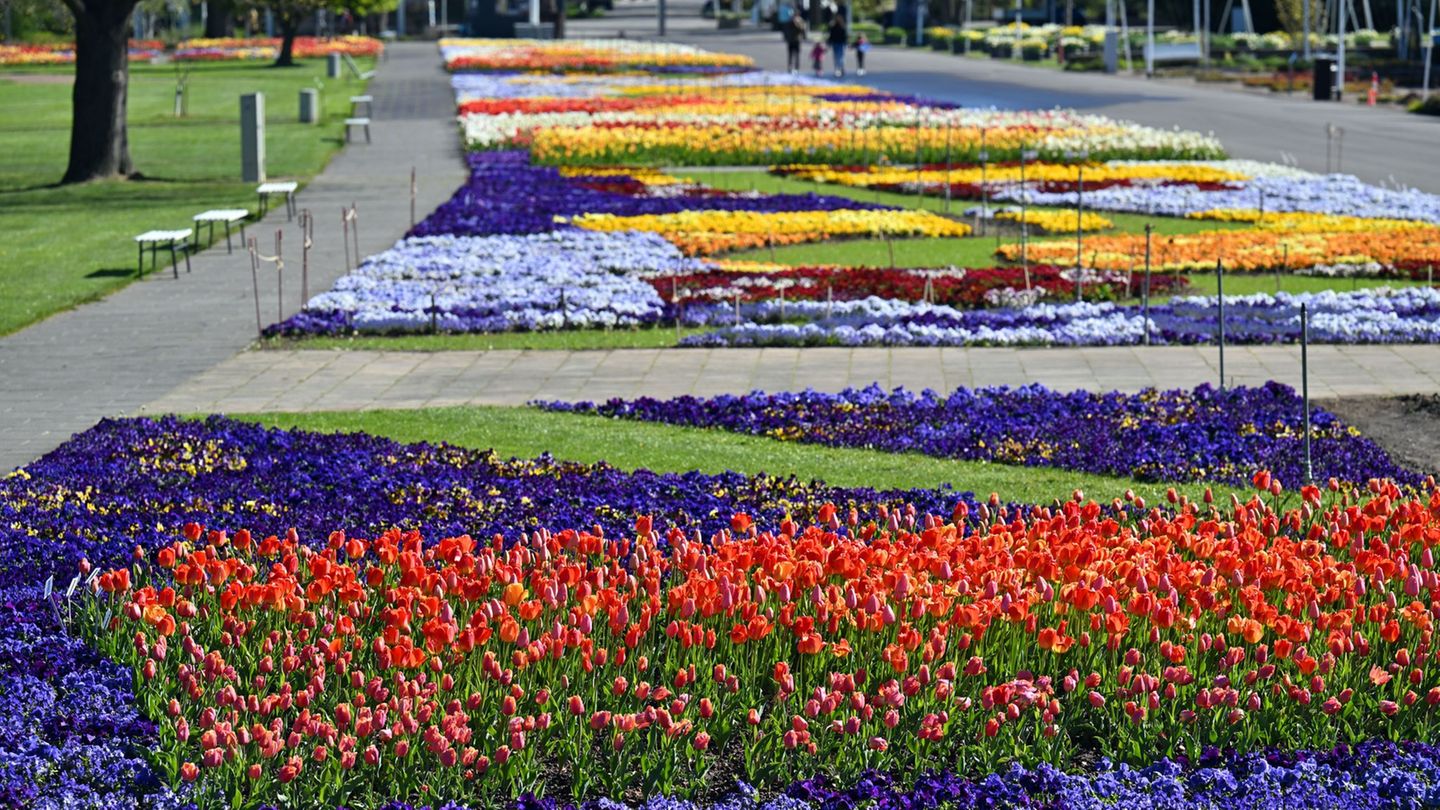 Der Erfurter egapark ist ein blühendes Denkmal. Er besteht seit 65 Jahren. Foto: Martin Schutt/dpa