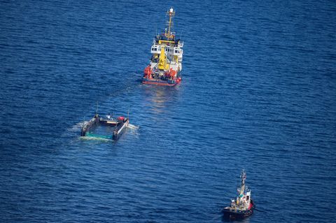 Der Wal wird in seiner Barge vom Schlepper Fortuna B in Richtung Nordsee gezogen