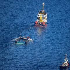 Der Wal wird in seiner Barge vom Schlepper Fortuna B in Richtung Nordsee gezogen