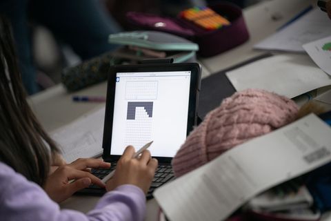 Digitales Know-how gilt heute als Schlüsselwissen. Hessens Landtag hat darüber debattiert, ob es Schülern in ausreichendem Maße