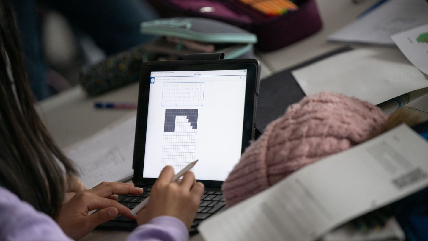 Digitales Know-how gilt heute als Schlüsselwissen. Hessens Landtag hat darüber debattiert, ob es Schülern in ausreichendem Maße