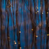 Wasserwelt: Schilf und tanzende Sonnenpunkte spiegeln sich in den blauen Fluten des Starnberger Sees.     Beate Oswald, Siegerin in der Kategorie „Atelier Natur“ 
