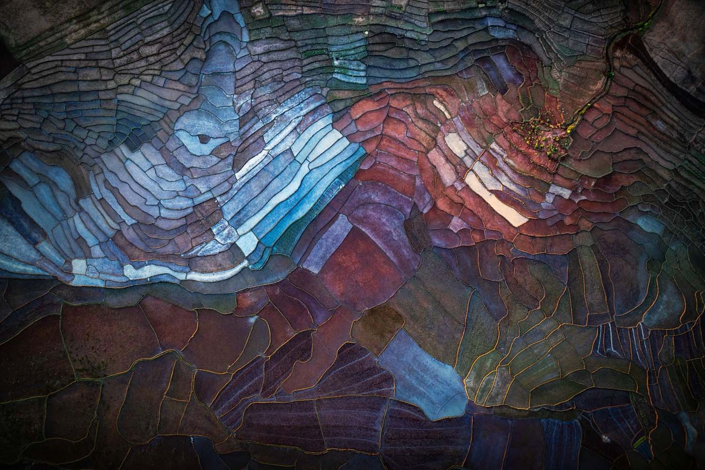 Wie auf Leinwand gemalt: Die ersten Sonnenstrahlen des Tages lassen die Reisfelder in Madagaskar in einer unglaublichen Farbenpracht erstrahlen.      Uwe Hasubek, 3. Platz in der Kategorie „Landschaften“