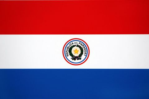 Eine Deutsche ist in Paraguay tot aufgefunden worden. (Symbolbild) Foto: Oliver Berg/dpa