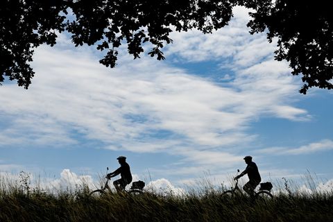 Mehrere Kilometer Radweg werden in Brandenburg saniert. (Symbolbild) Foto: Patrick Pleul/dpa-Zentralbild/dpa
