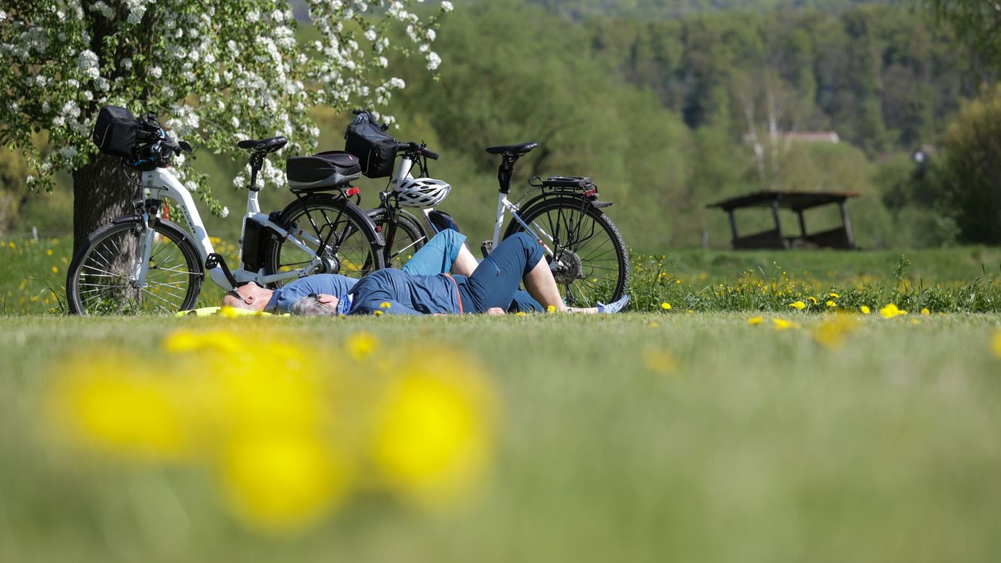 Wetter: Sommerlicher Feiertag - doch hier steigt die Waldbrandgefahr