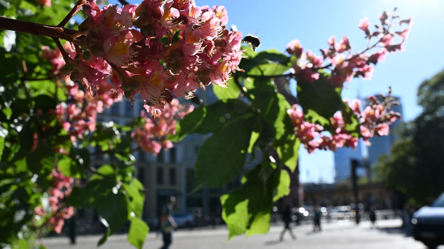 Feiertag: Sommerwetter mit bis zu 28 Grad am langen Wochenende