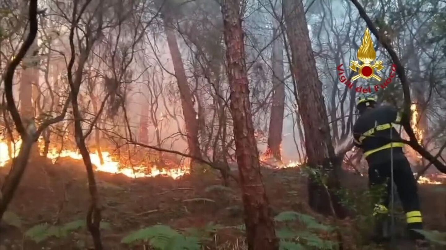 Feuer in Urlaubsregion: Waldbrand in Toskana: 3.500 Menschen evakuiert