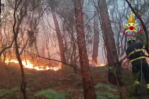 Wegen des Waldbrands haben mehr als 3.500 Menschen ihre Häuser verlassen müssen. Foto: -/Vigili del Fuoco/dpa